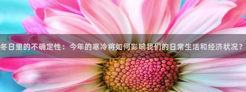 蓝狮娱乐包怎么样：冬日里的不确定性：今年的寒冷将如何影响我们的日常生活和经济状况