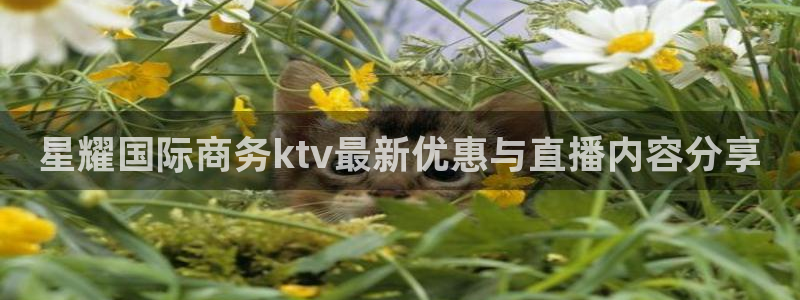 蓝狮娱乐：星耀国际商务ktv最新优惠与直播内容分享
