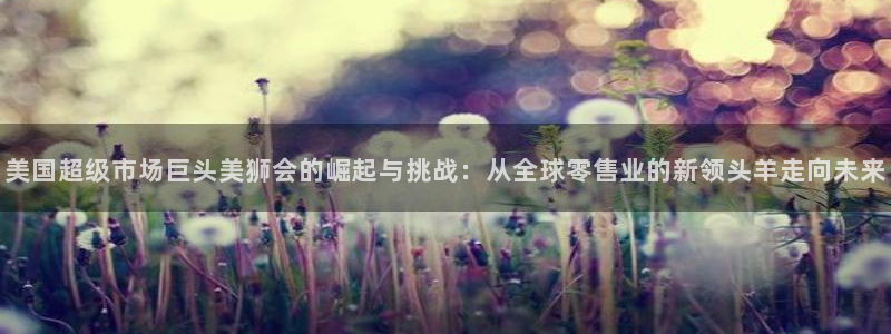 蓝狮娱乐怎么下载：美国超级市场巨头美狮会的崛起与挑战：从全球零售业的新领头羊走向