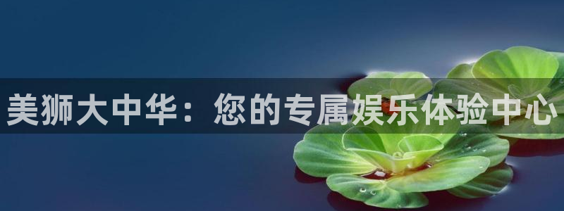 蓝狮娱乐体育凯捷平台主管：美狮大中华：您的专属娱乐体验中心
