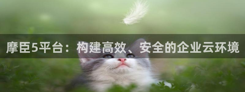 蓝狮娱乐账号注册入口：摩臣5平台：构建高效、安全的企业云环境
