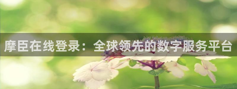 蓝狮娱乐注册：摩臣在线登录：全球领先的数字服务平台