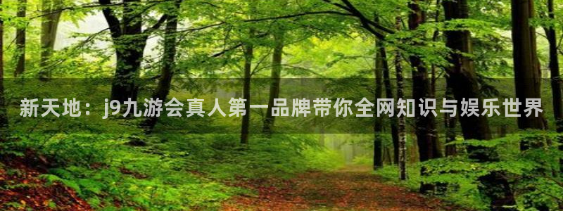 蓝狮娱乐能源：新天地：j9九游会真人第一品牌带你全网知识与娱乐世界