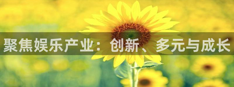 蓝狮娱乐体育官网注册：聚焦娱乐产业：创新、多元与成长