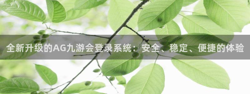 蓝狮娱乐那个爆率高：全新升级的AG九游会登录系统：安全、稳定、便捷的体验