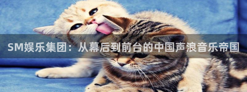 蓝狮娱乐体育注册平台：SM娱乐集团：从幕后到前台的中国声浪音乐帝国