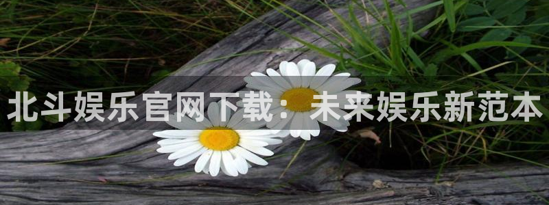 蓝狮娱乐放水时间：北斗娱乐官网下载：未来娱乐新范本