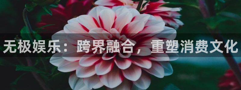 蓝狮娱乐2平台注册：无极娱乐：跨界融合，重塑消费文化