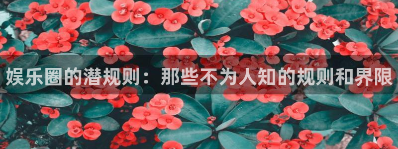 蓝狮娱乐路线1：娱乐圈的潜规则：那些不为人知的规则和界限