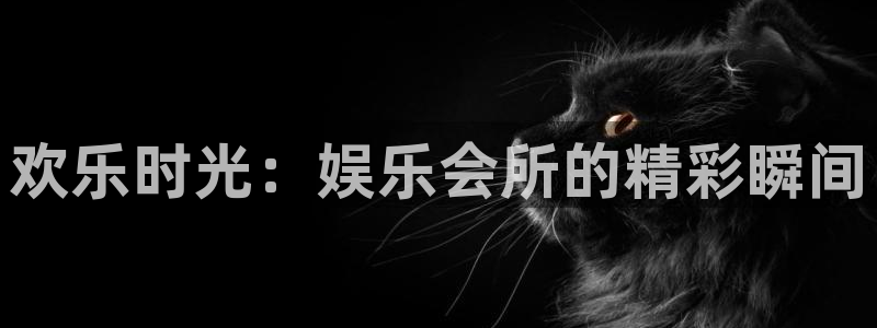 蓝狮娱乐官网下载：欢乐时光：娱乐会所的精彩瞬间
