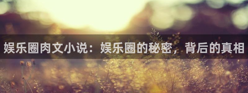 蓝狮娱乐有梦你就来：娱乐圈肉文小说：娱乐圈的秘密，背后的真相