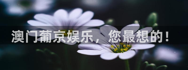 蓝狮娱乐体育3在线注册：澳门葡京娱乐，您最想的！