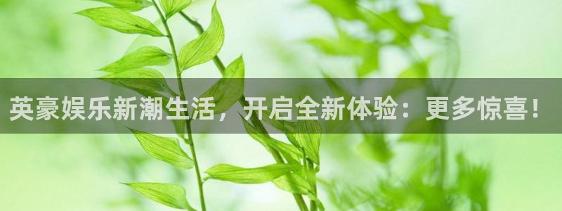 蓝狮娱乐下载二维码：英豪娱乐新潮生活，开启全新体验：更多惊喜！