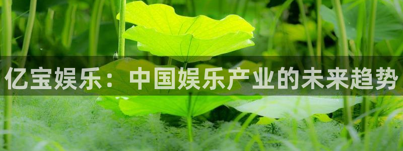 蓝狮娱乐电子有限公司：亿宝娱乐：中国娱乐产业的未来趋势