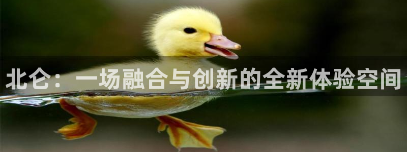 蓝狮娱乐官网：北仑：一场融合与创新的全新体验空间